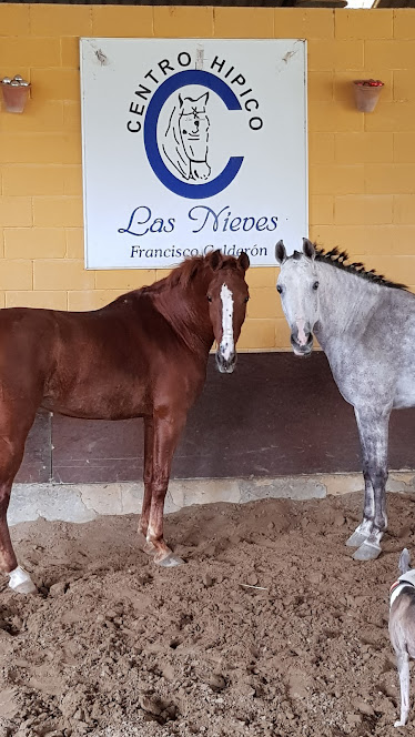 Centro Hipico Las Nieves