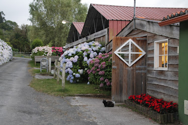 Granxa do Souto – Centro de Actividades Ecuestres