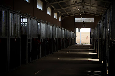 Club Hipico Aires de Jarama