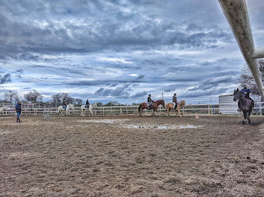 Hipica Dehesa del Pardo