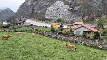 Rutas a Caballo Cobrana