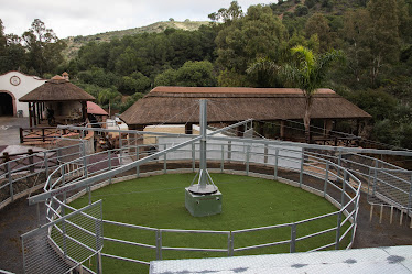 Centro Hipico El Repique – Marbella