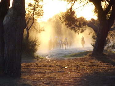 Turismo Ecuestre DO ANA