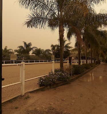 Club de Equitaci n Rio Grande