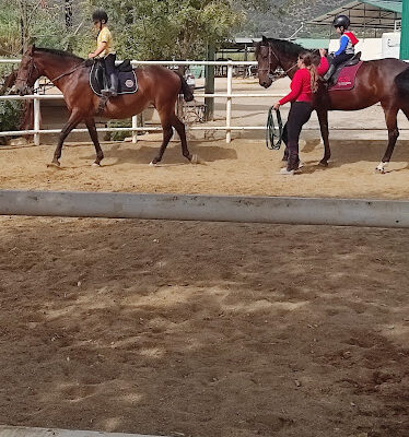 Yeguada La Loma – CE El Cachorro