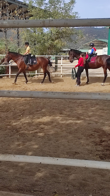 Yeguada La Loma – CE El Cachorro