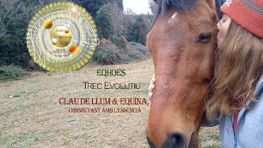 Clau de llum & Equina l esperit del Vent