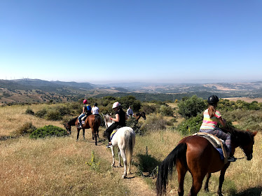 RIDING FUN IN THE SUN