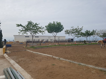 Centro Hipico Lledo