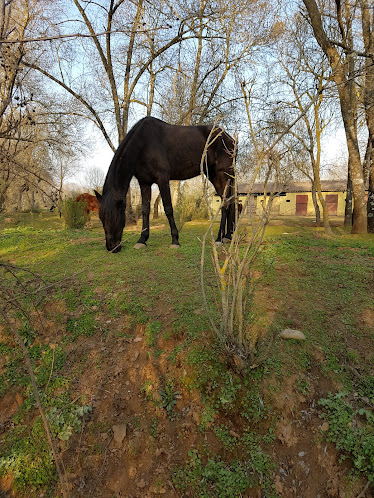centro hipico caraquiz