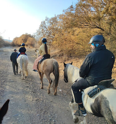 Centro Ecuestre El Serbal