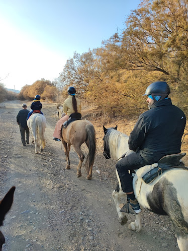 Centro Ecuestre El Serbal