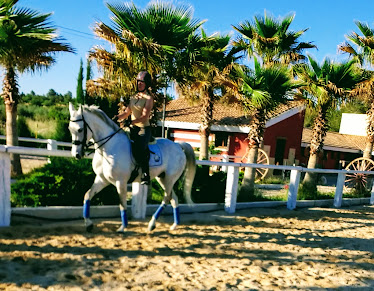 Yeguada Carrascosa Moran