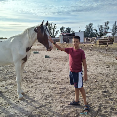 Centro Hipico Caño de la Vega