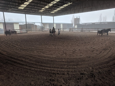 San Jorge Riding School
