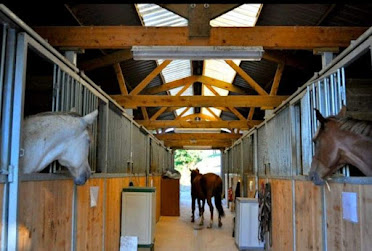 Centro Ecuestre Picu l Sol