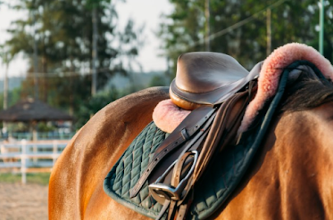 Tienda Hipica Low Cost