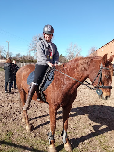 EQUESTRIAN CENTER SOTO OCIO