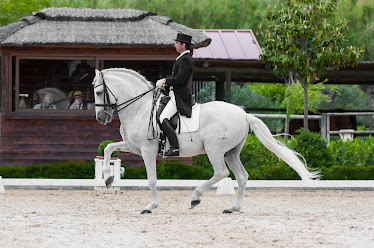 Marbella Horses Pony Club Villacana