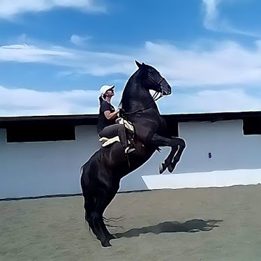 Club Hipico Maria Luisa