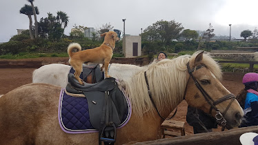 Centro de Actividades en la Naturaleza Finca Manchon de las Flores