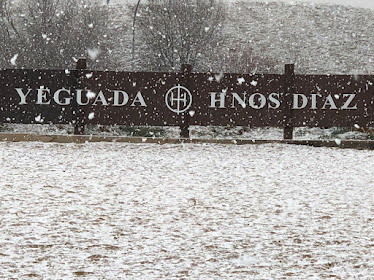 Yeguada Hermanos Diaz