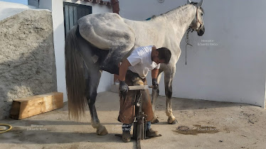 Herrador Eduardo Recio