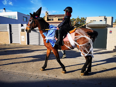 Club Equestre La Vall Del Tenes
