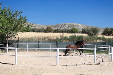 Hipica a Campo Abierto