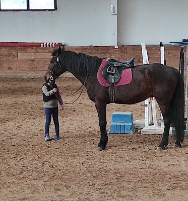 Centro Hipico Los Robles