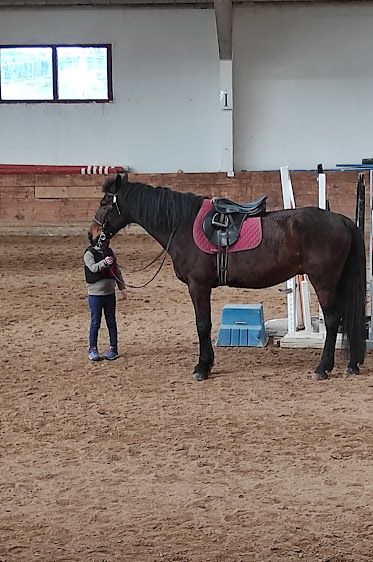 Centro Hipico Los Robles