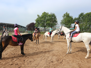 Escuela de Equitacion del Club Hipico Astur CHAS