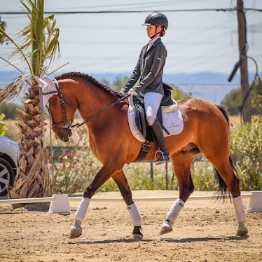 Fran Arenas Doma Clasica