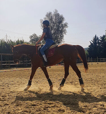 Centro Hipico El Molino de Fuego