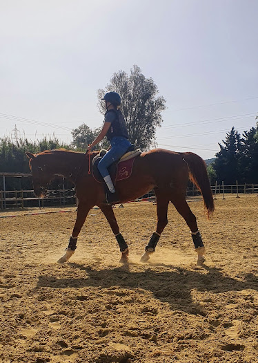 Centro Hipico El Molino de Fuego
