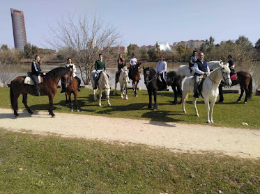Centro Hipico Doble M