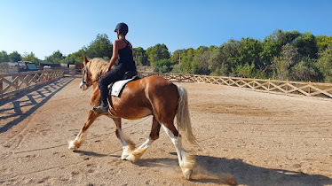 Crooked Creek horse ranch