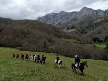 Aravalle Equestrian Center