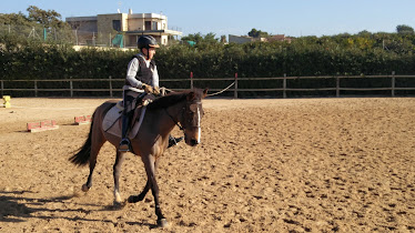 Pony club La Finca Ecuestre Escuela hipica Pony y caballos Equitacion