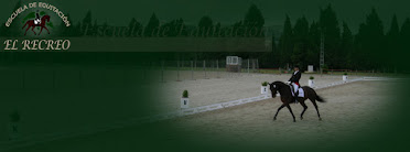 Escuela de equitacion El Recreo