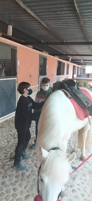 Centro Ecuestre Centauro Quiron