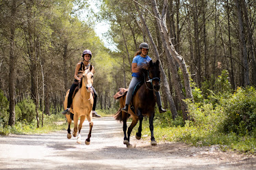 Hipica i Refugi Tikotta