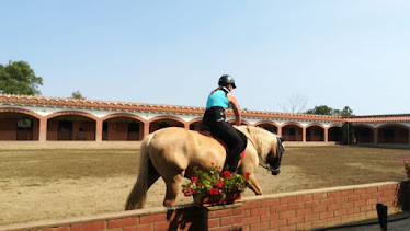 Club hipic El Cavall i el seu art