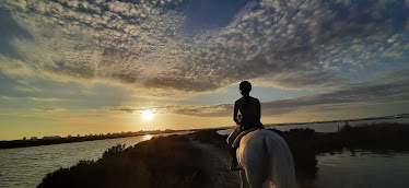 Rutas ecuestres Coto de la Isleta