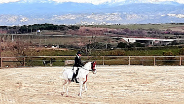 Finca de Los Navazuelos