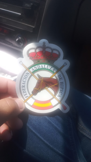 Andalusian Federation of Horse Riding