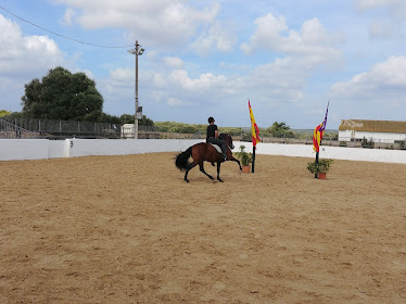 escuela equestre menorquina