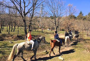 CENTRO HiPICO LOS CIRUELOS S L