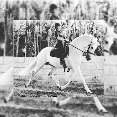 Clun Hipico El Estribl