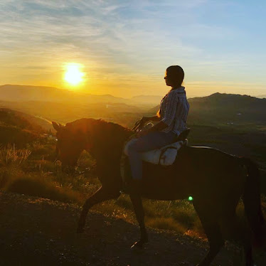 Cortijo el Chenil Caballos